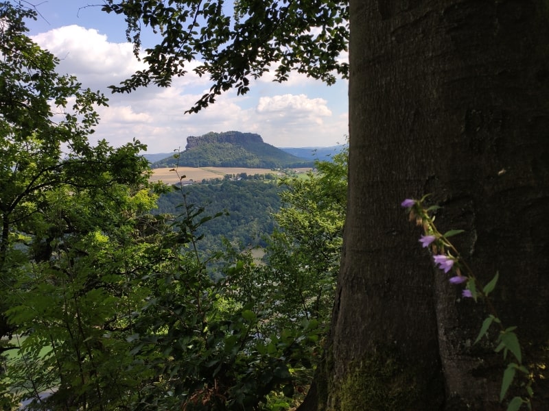 Blick hinüber zum Lilienstein