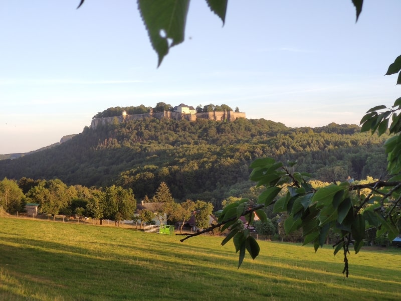 Blick zur Festung Königstein