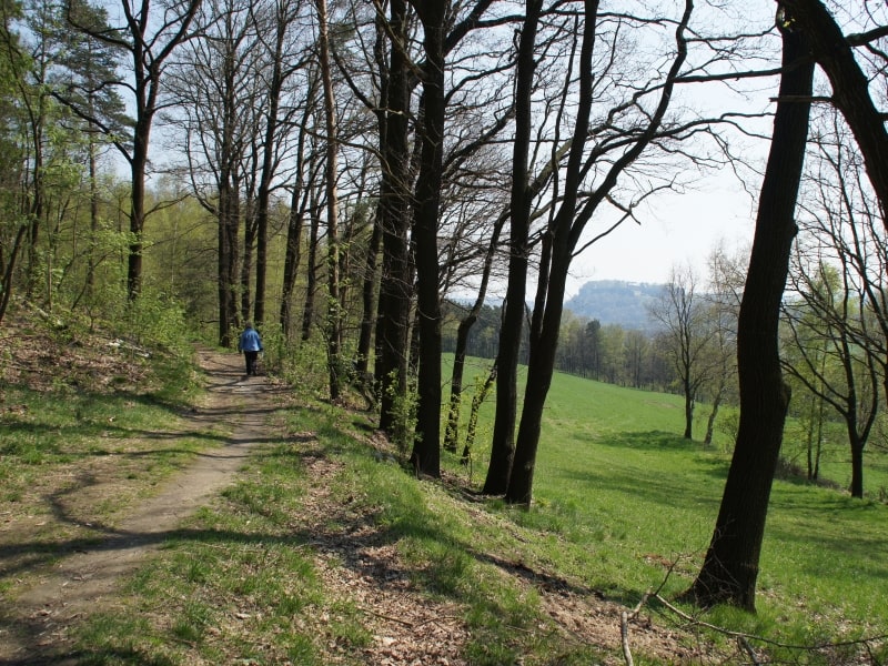 Gemütlicher Wanderweg am Fuße des Kahlen Steins