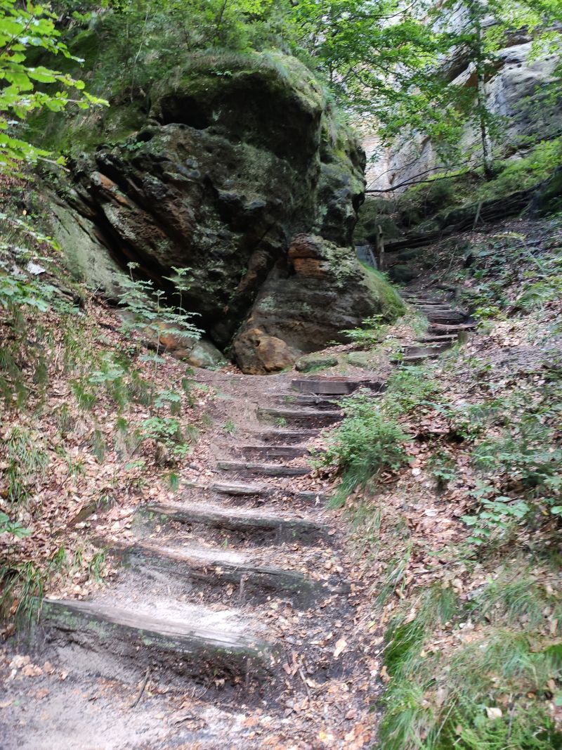 Lehnsteig, unterer Teil